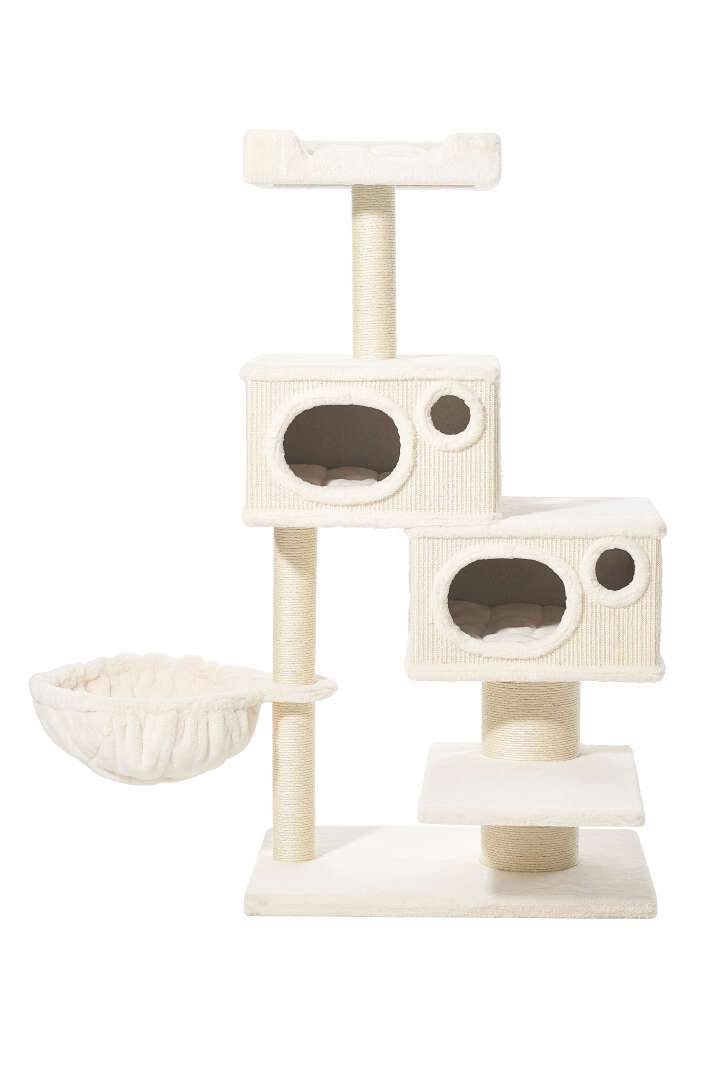 Nobby Kratzbaum Binka